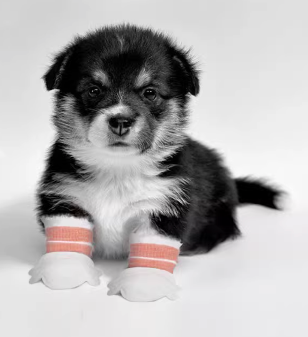 Disposable Waterproof Dog Paw Covers – Anti-Slip Adjustable Pet Shoe (20pcs/Pack)
