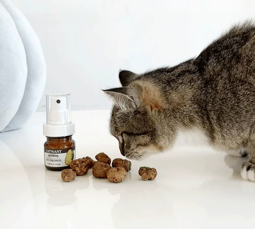 CATWANT Cat Enrichment Spray – Plant-Based Catnip Spray