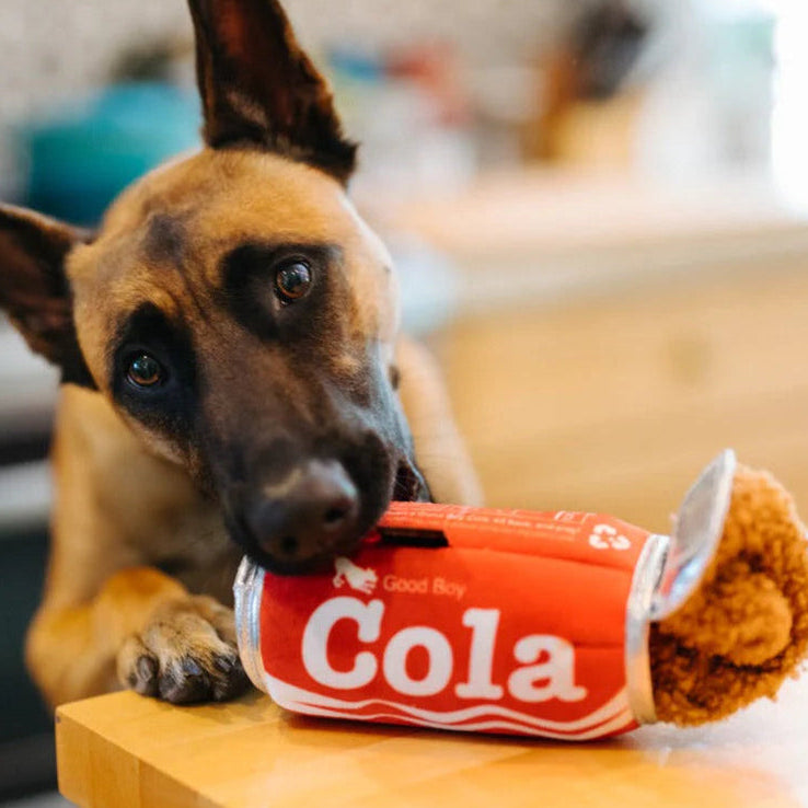 P.L.A.Y. Snack Attack - Good Boy Cola