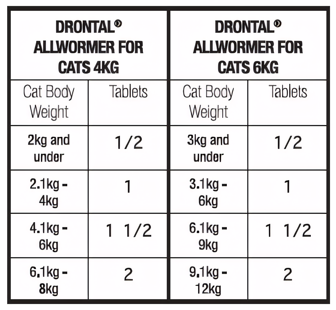 Drontal Allwormer: Comprehensive Worm Protection for Cats