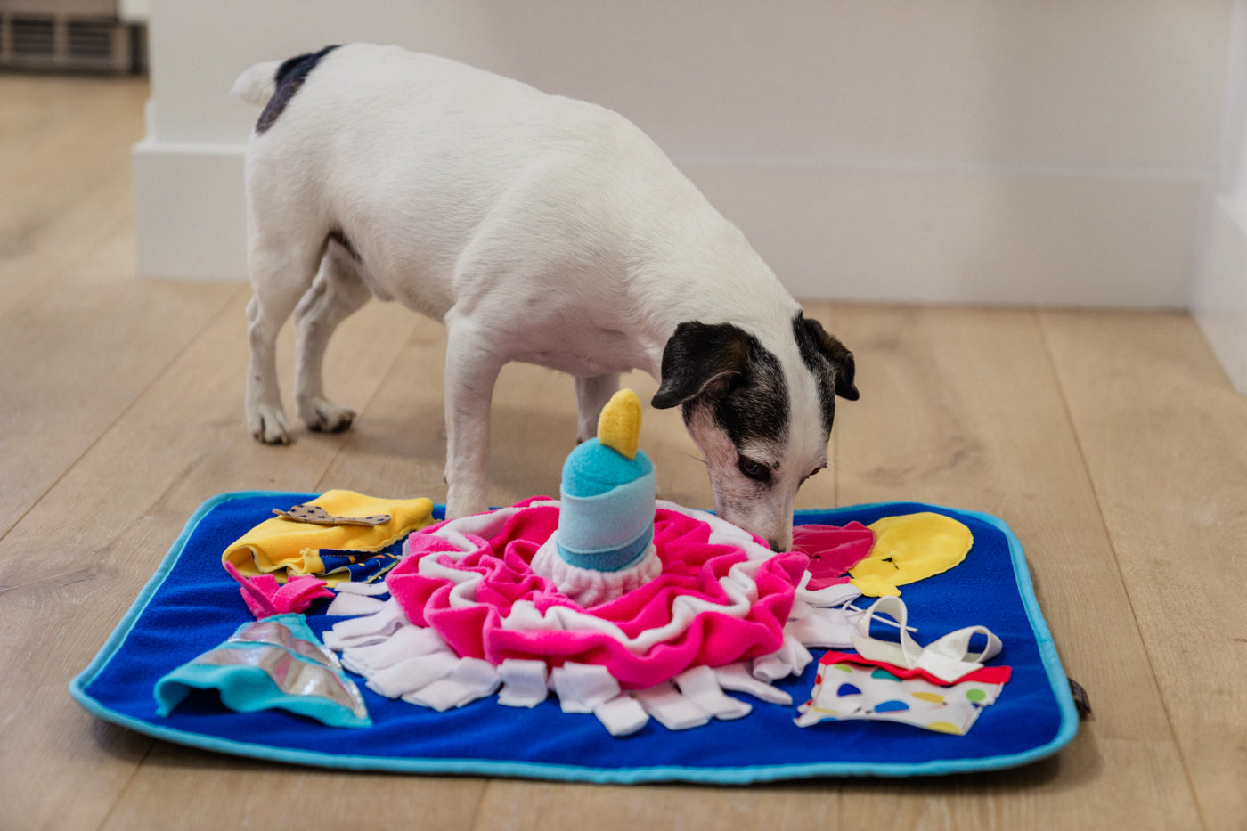 P.L.A.Y. Woof-Day Celebration Snuffle Mat - Interactive Dog Toy