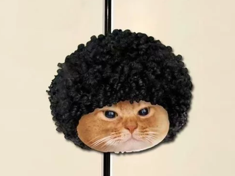 Cute Cat Acrylic Fridge Magnets – Funny & Creative Magnetic Decorations