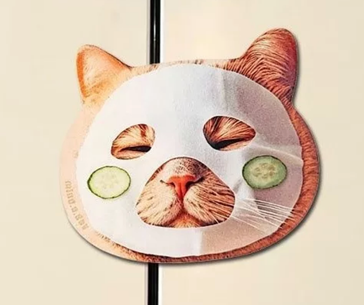 Cute Cat Acrylic Fridge Magnets – Funny & Creative Magnetic Decorations