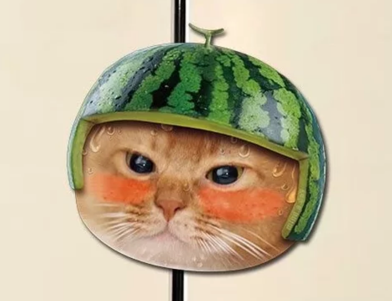 Cute Cat Acrylic Fridge Magnets – Funny & Creative Magnetic Decorations