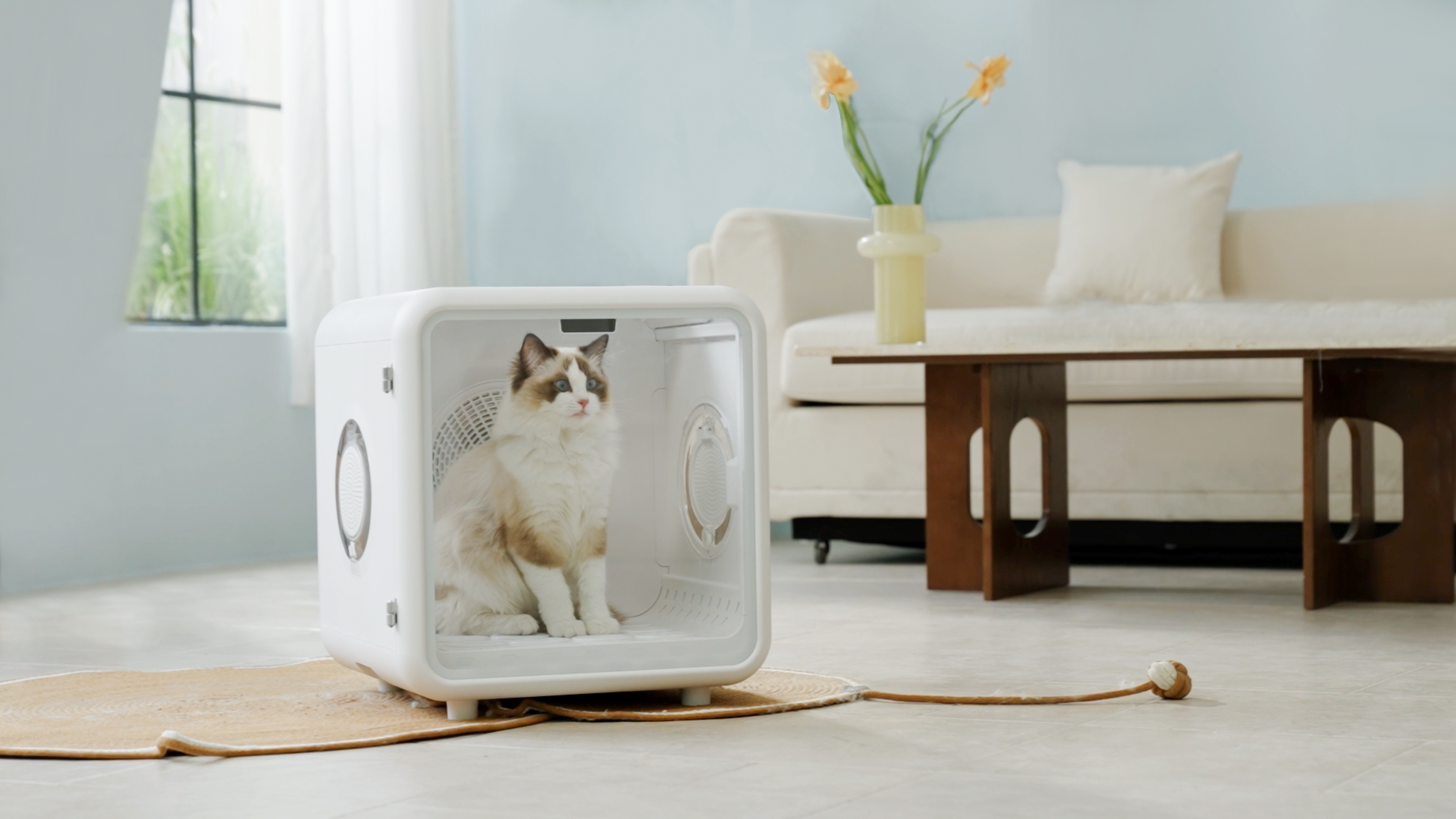 PETABOO 72L Smart Pet Drying Box & Temperature-controlled Pet house – Intelligent, Comfortable, Hygienic