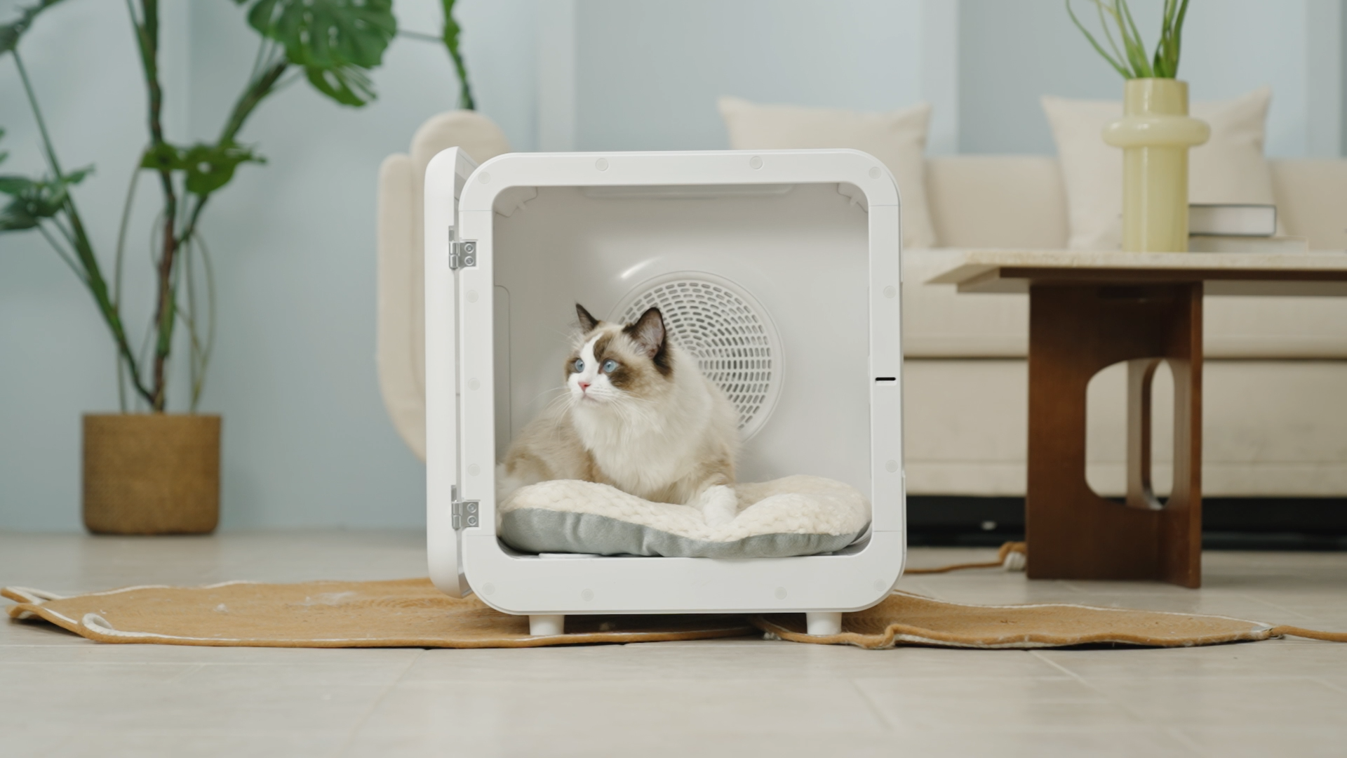 PETABOO 72L Smart Pet Drying Box & Temperature-controlled Pet house – Intelligent, Comfortable, Hygienic