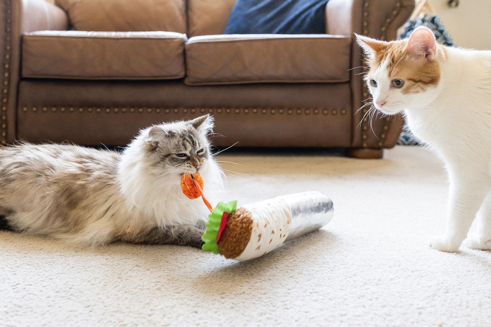 P.L.A.Y.  Cat Toy Feline Frenzy - Cat Kicker Toy Collection PAWS CLUB
