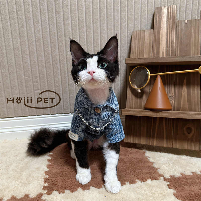 Pet Wear| Original Chain Denim Shirt for Cats & Dogs |Size M