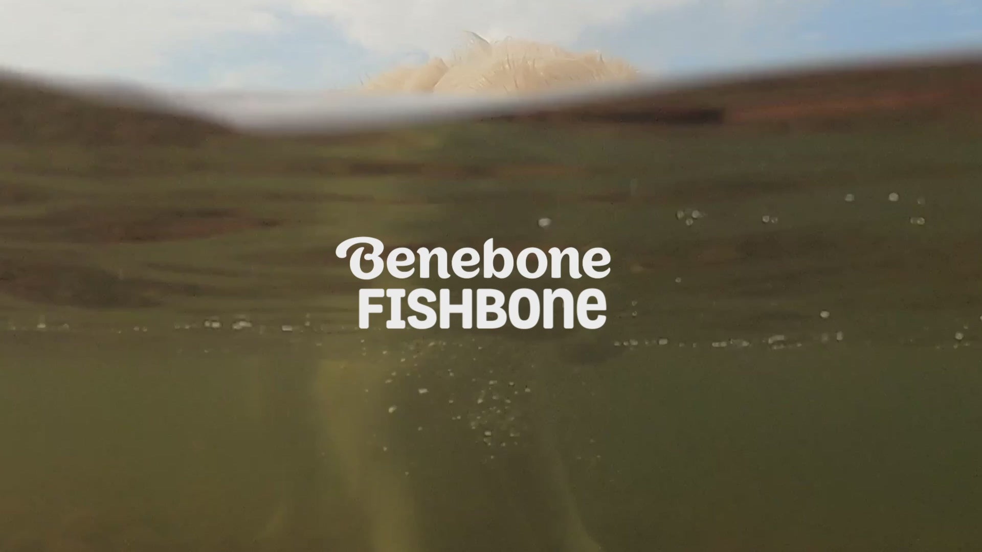 Benebone Fishbone Chew Toy for dogs, real Jack Salmon flavor, paw-friendly design