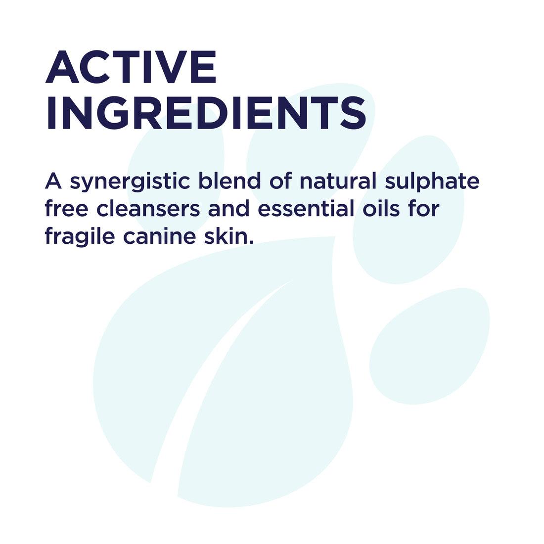 Blackmores PAW - Sensitive Skin Dog Conditioner - Fragile Skin Care - PAWS CLUB