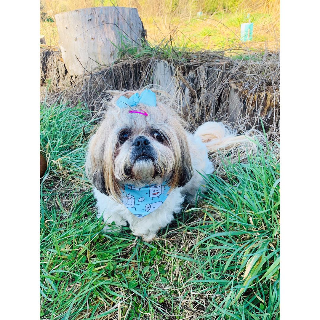 CBP Bandana - Tony - PAWS CLUB