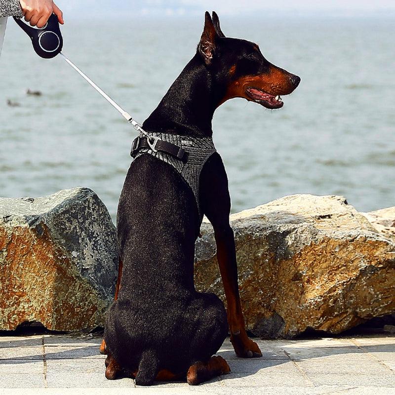 PETKIT Air Fly Dog Harness - PAWS CLUB