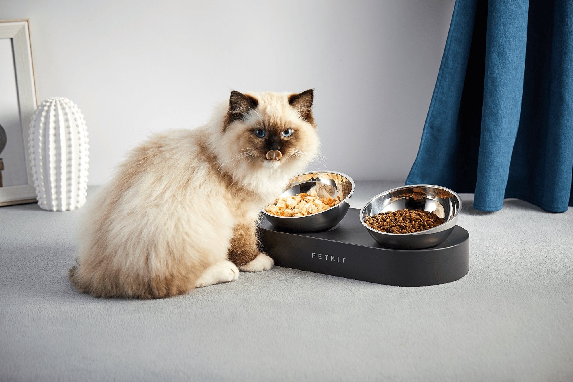 Petkit Fresh Nano- 15° Adjustable Feeding Metal Dual Bowl - PAWS CLUB