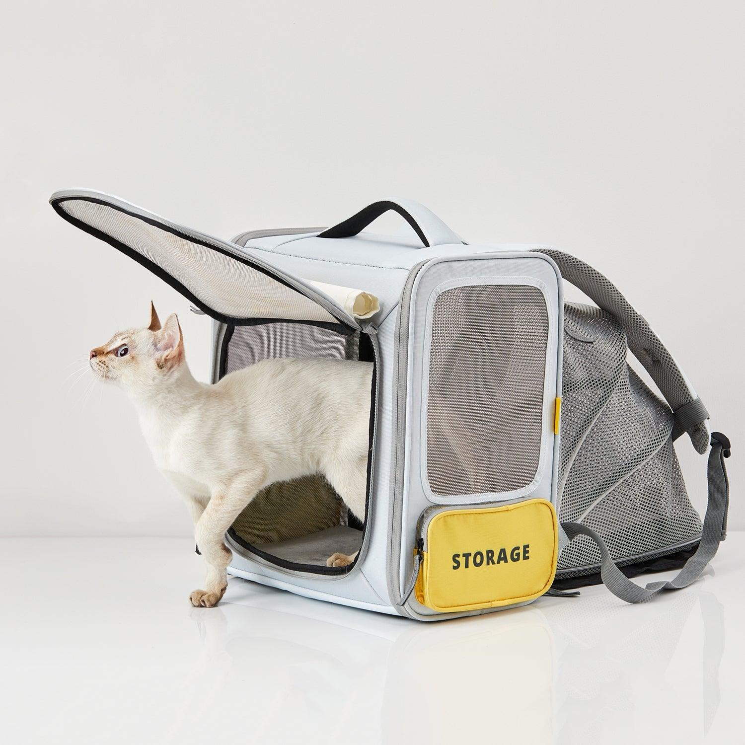 Petkit Pet Backpack Carrier - Breezy Zone - PAWS CLUB