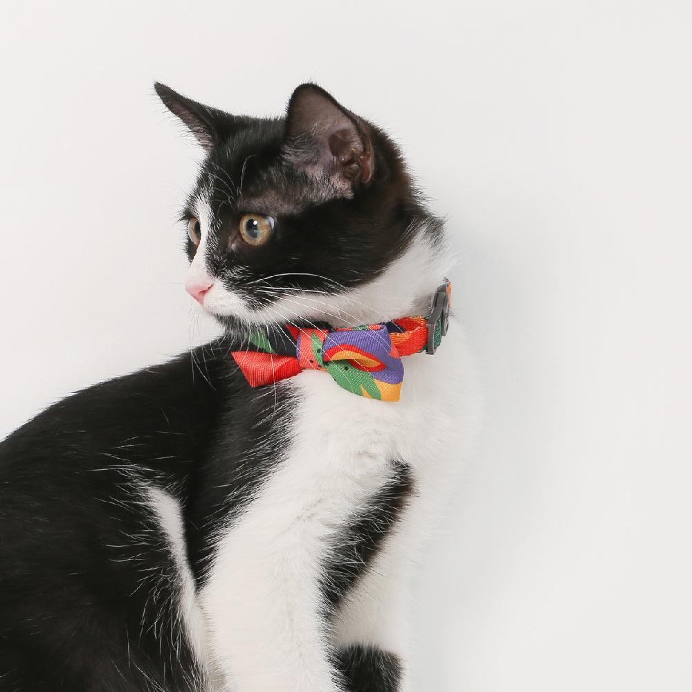 PIDAN Cat Bow Tie Collar – Premium and Stylish Accessory for Your Cat - PAWS CLUB