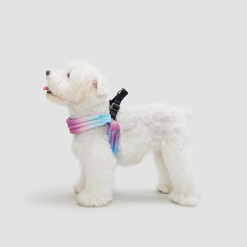 PIDAN Dog Harness - PAWS CLUB
