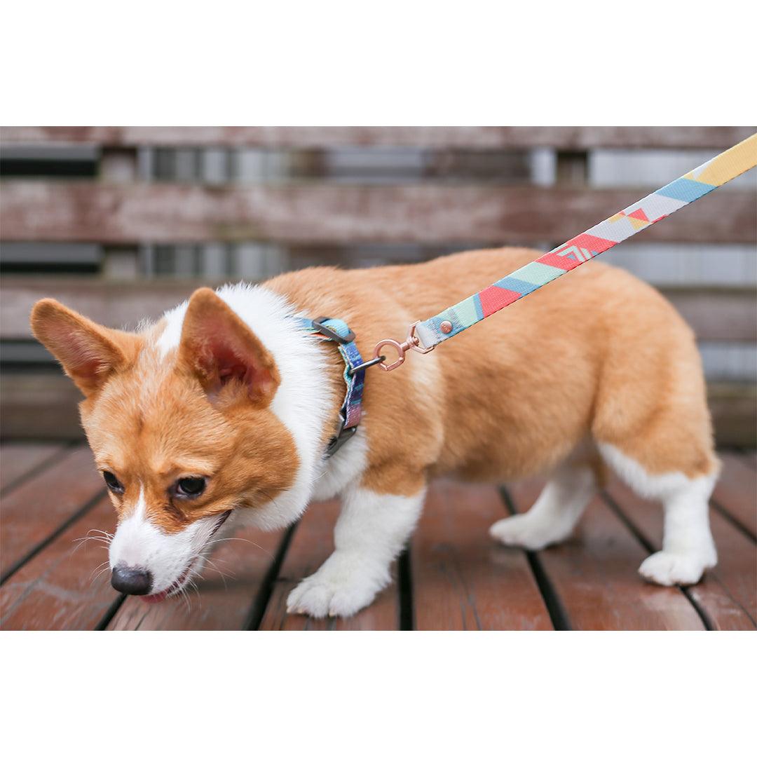 PIDAN Dog Leash Bracelet Type - PAWS CLUB