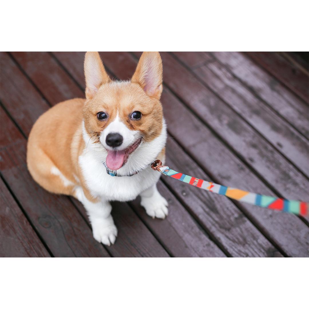PIDAN Dog Leash Bracelet Type - PAWS CLUB