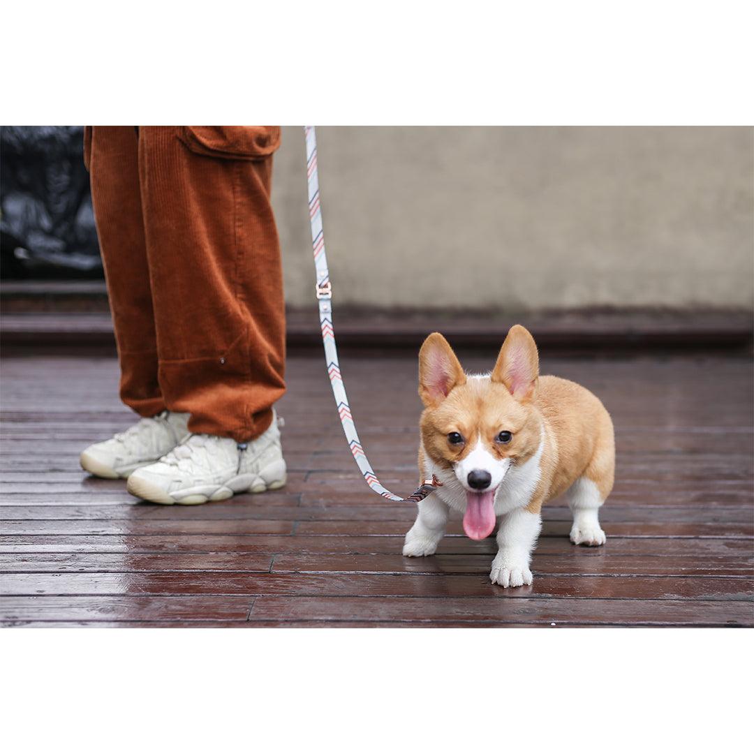 PIDAN Dog Leash Bracelet Type - PAWS CLUB