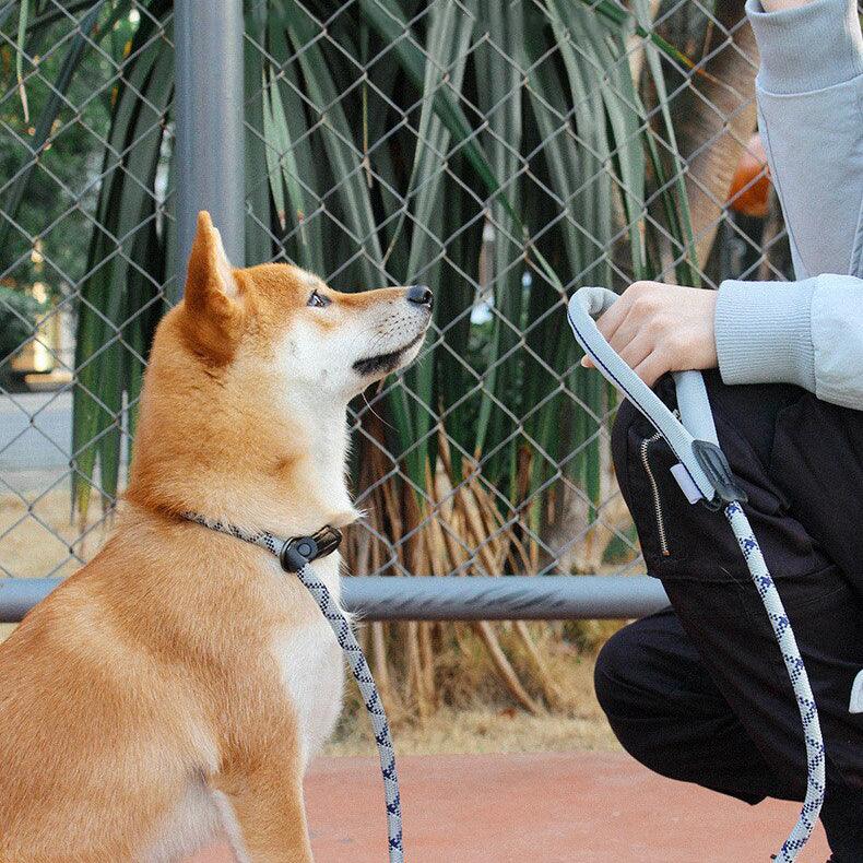 Tuff Hound Dog Slip Lead - PAWS CLUB