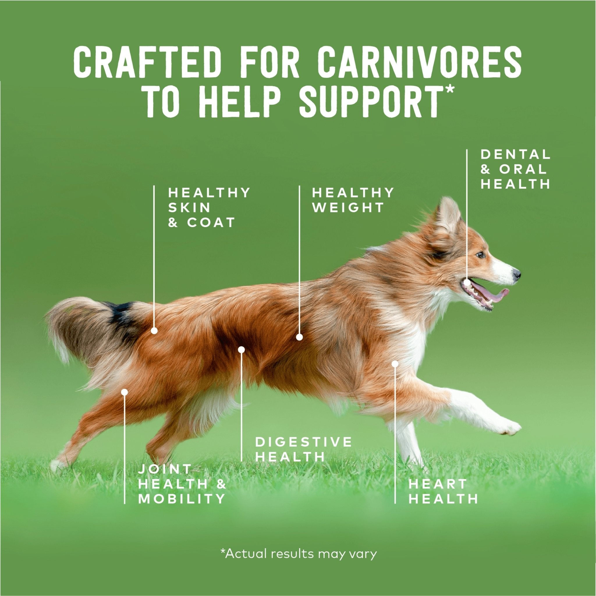ZIWI Peak Free-Range Chicken Wet Dog Food - Ethically Raised & Nutrient-Rich for All Life Stages - PAWS CLUB