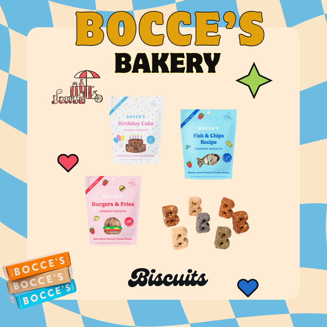 🐾 Bocce's Bakery Unleashed: Where Every Bite Tells a Story 🗽