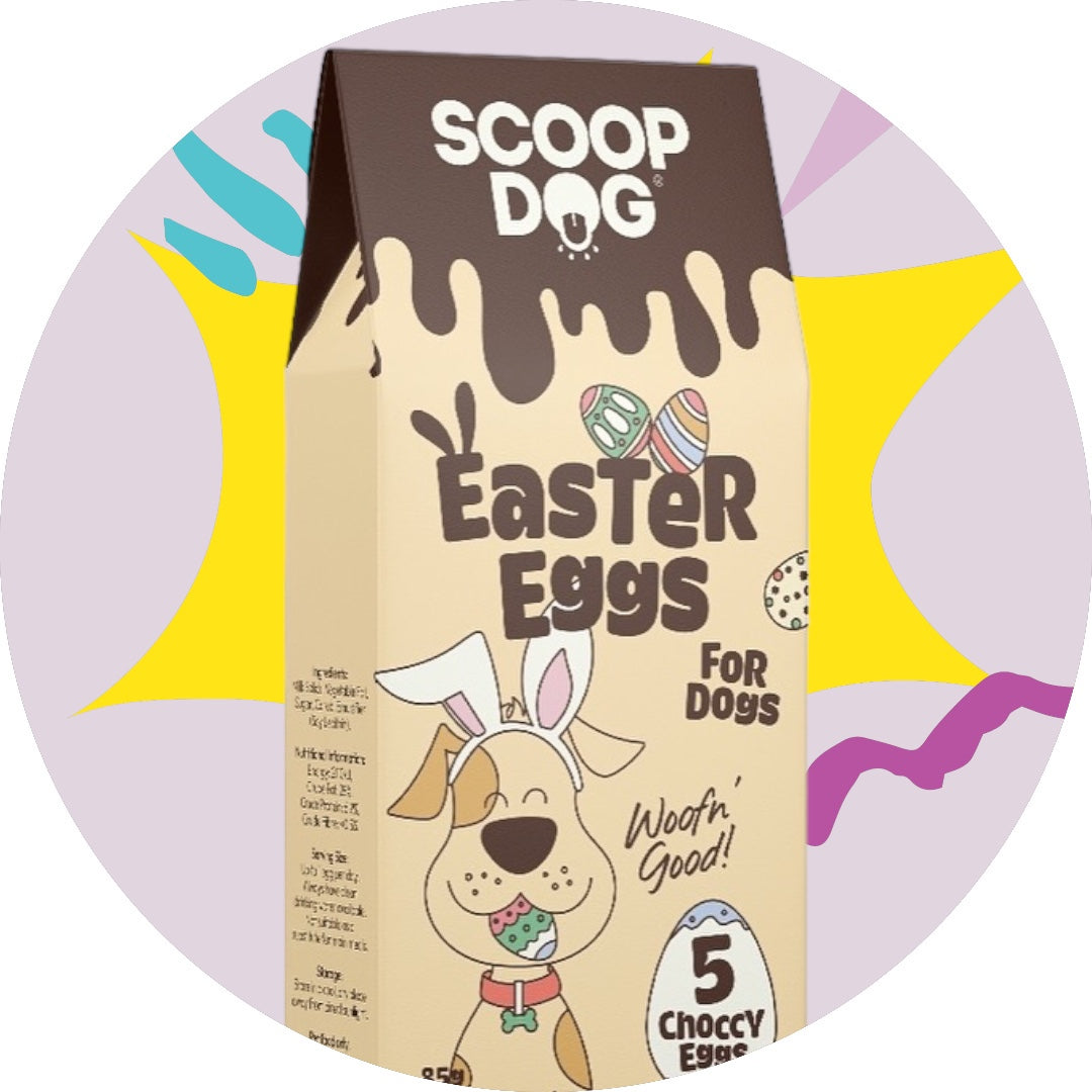 Hop into Easter with Scoop Dog's Special Treats for Your Furry Friends!