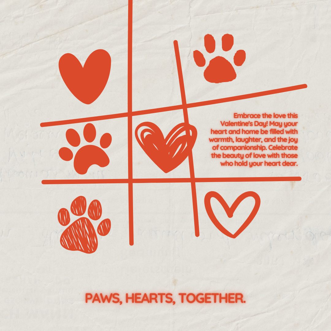 🐾 Paws, Hearts, Together: A Valentine's Day Celebration at PAWS CLUB 💖