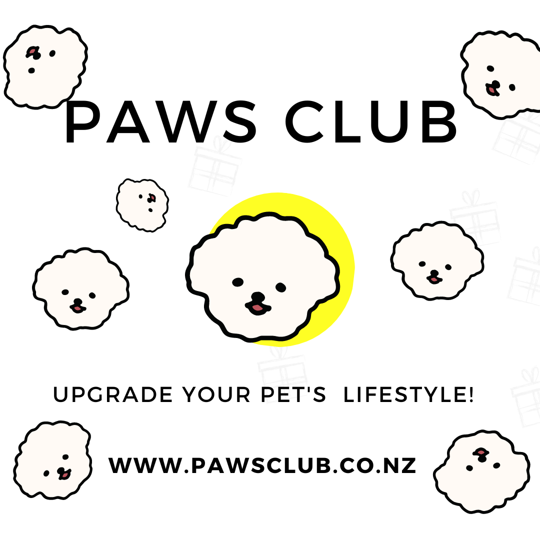 PAWS CLUB: More Than a Store, A Community for Pets and Their Owners