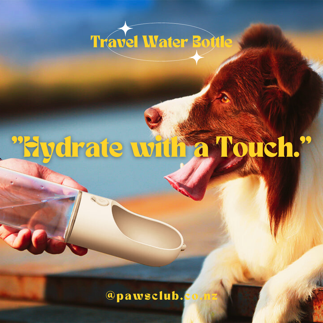 Hydration, Reimagined: The PETKIT Eversweet Water Bottle 🐾