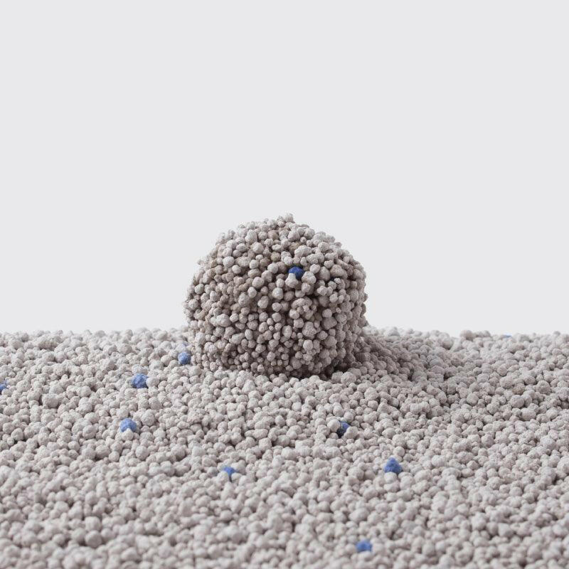 Designer Cat Litter Solutions: Premium Care Products | PAWS CLUB