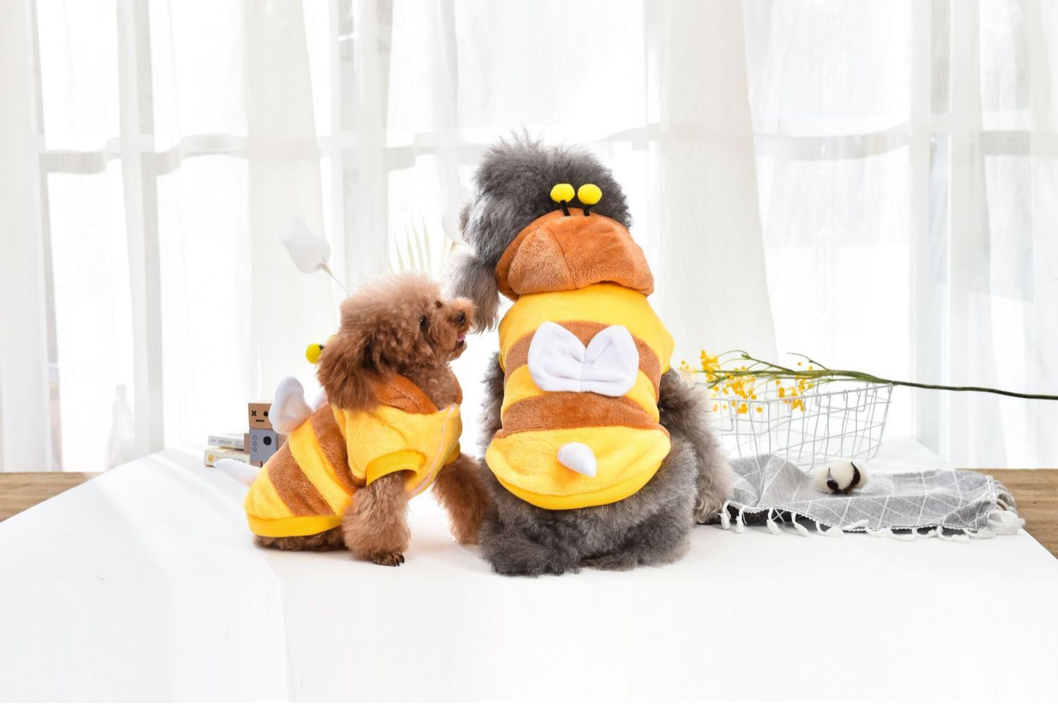 Pet Cat & Small Dog Outfit | Cute Bumblebee Costume for Autumn & Early Spring