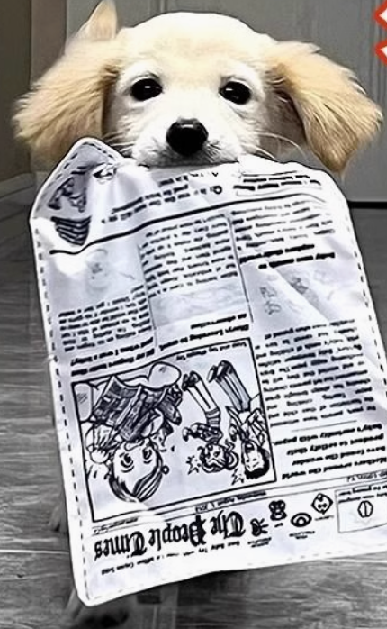 Squeaky Crinkle Pet Toy – Realistic Newspaper Design, Durable Chew Toy for Interactive Play & Boredom Relief