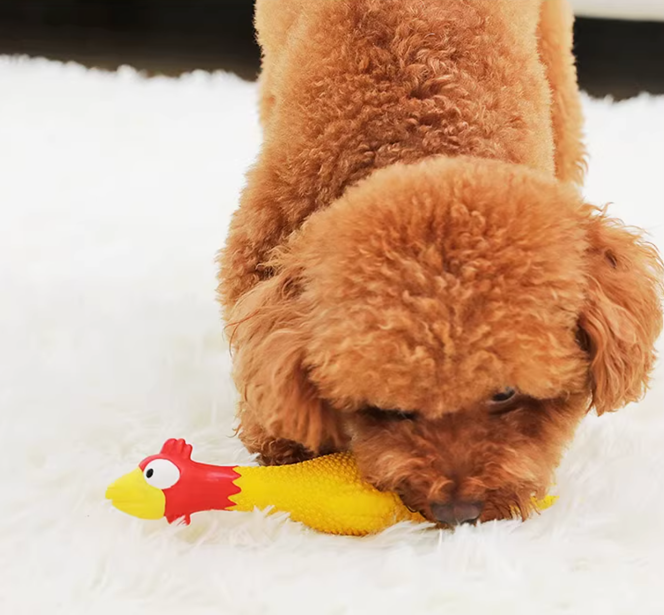 Squeaky Chicken Dog Toy | Chew Toy for Dogs | Stress Relief & Interactive Fun