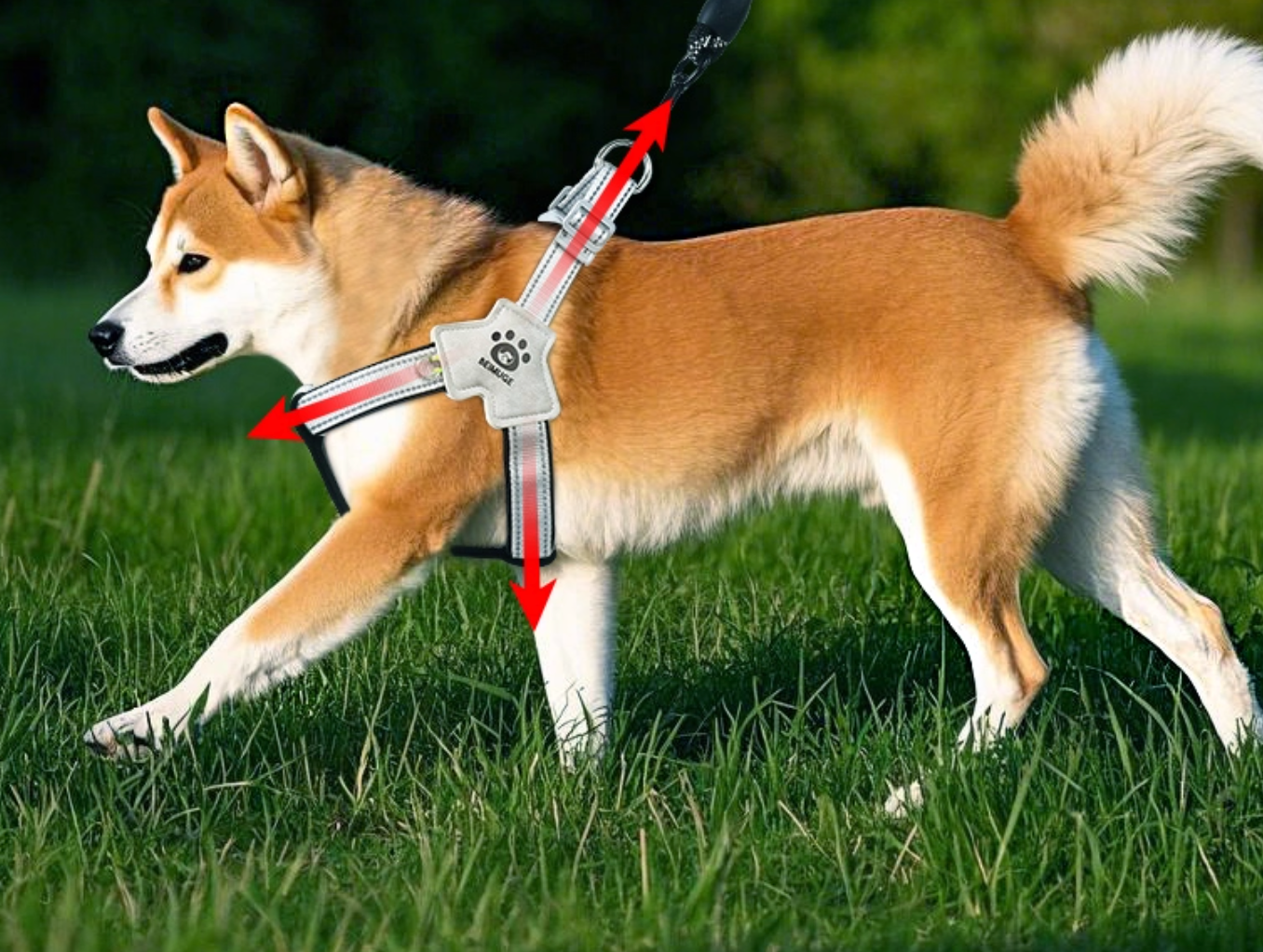 Dog Harness Leash Set | No-Pull Reflective Vest Harness for Small & Medium Dogs | Shiba Inu Corgi Walking Harness