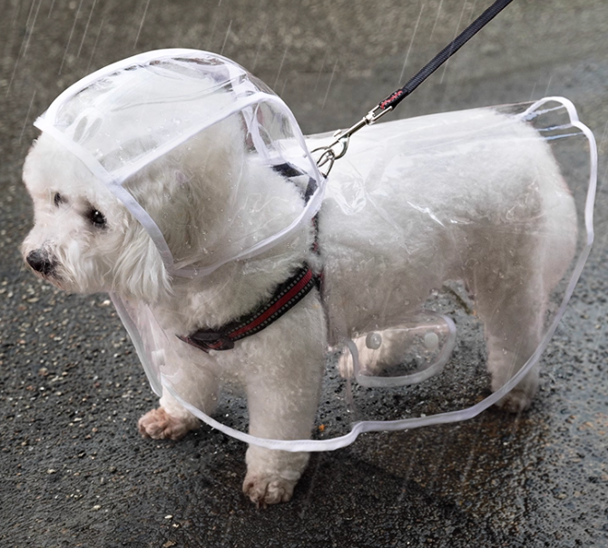 Raincoat Cape for Small & Medium Dogs and Cats – Transparent Waterproof Pet Clothing