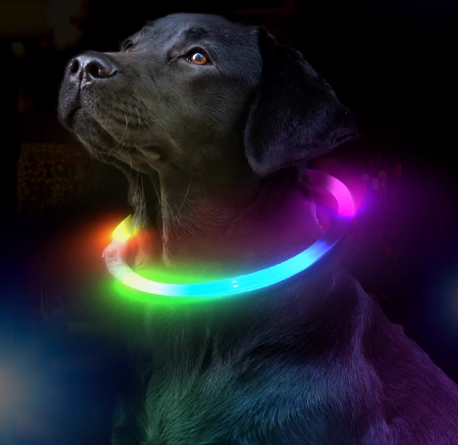 LED Dog Collar – Rechargeable Night Safety Collar for Dogs