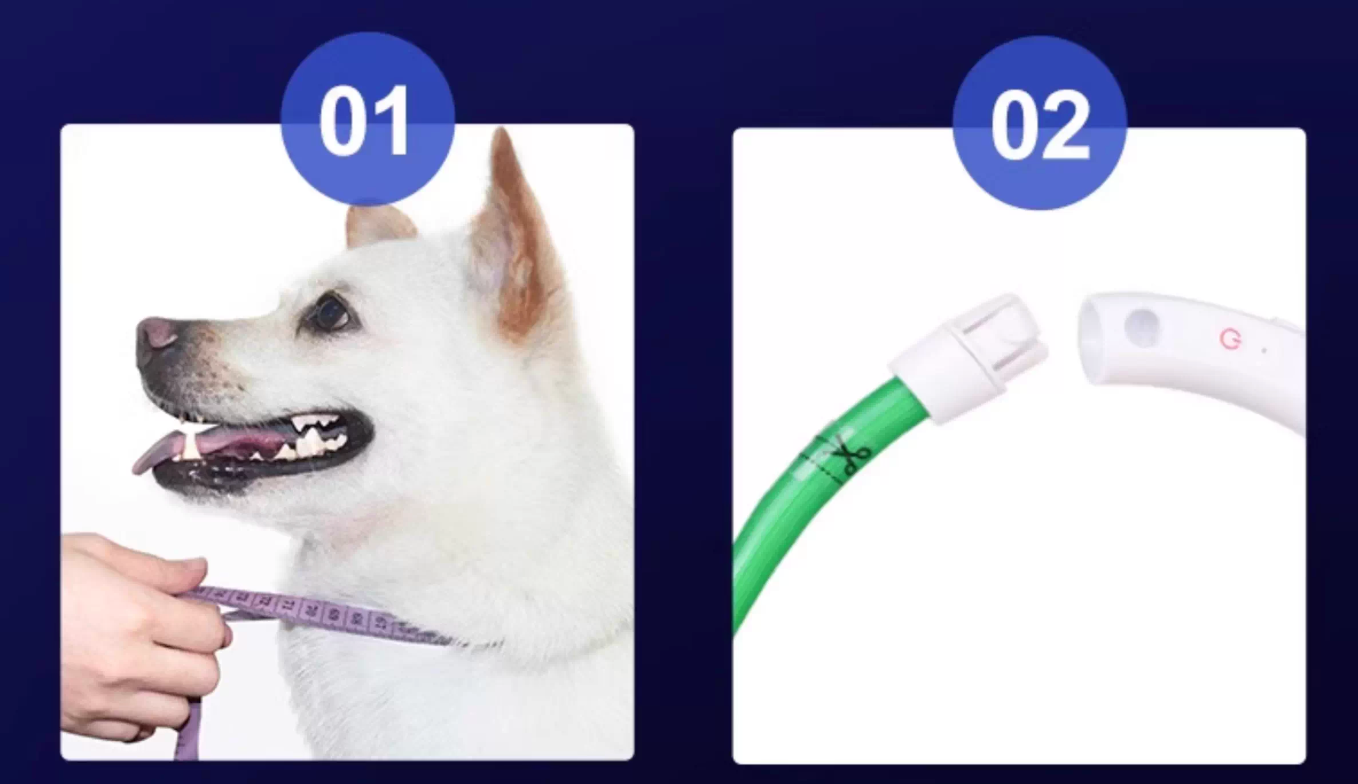 LED Dog Collar – Rechargeable Night Safety Collar for Dogs