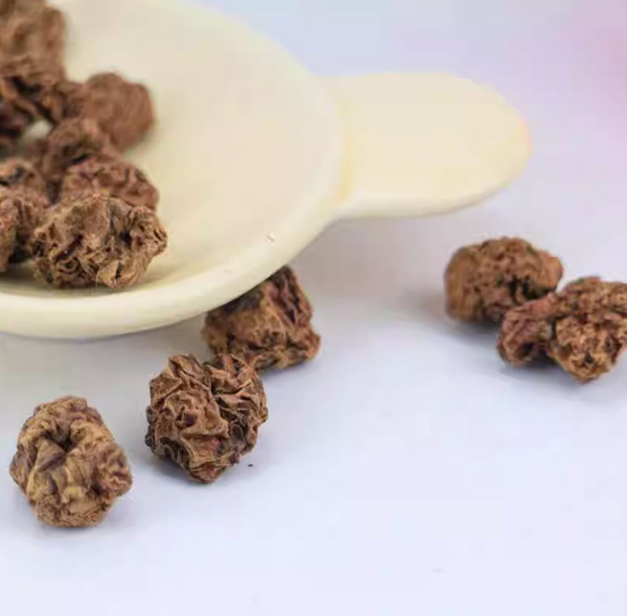 Silvervine Gall Fruit Cat Treat – Natural Dental Chew & Stress Relief Toy (10 pcs in Tube)