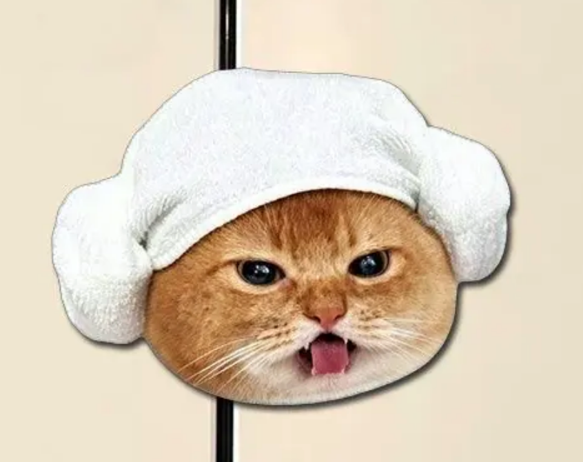 Cute Cat Acrylic Fridge Magnets – Funny & Creative Magnetic Decorations