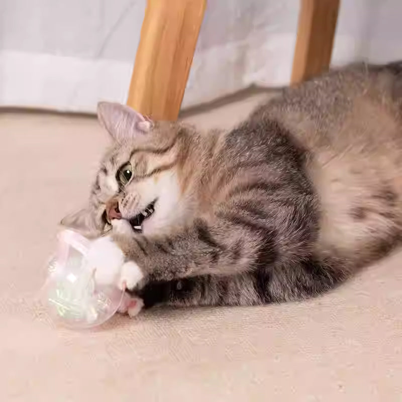 Candy-Colored Crinkle Paper Ball – Interactive Cat Toy