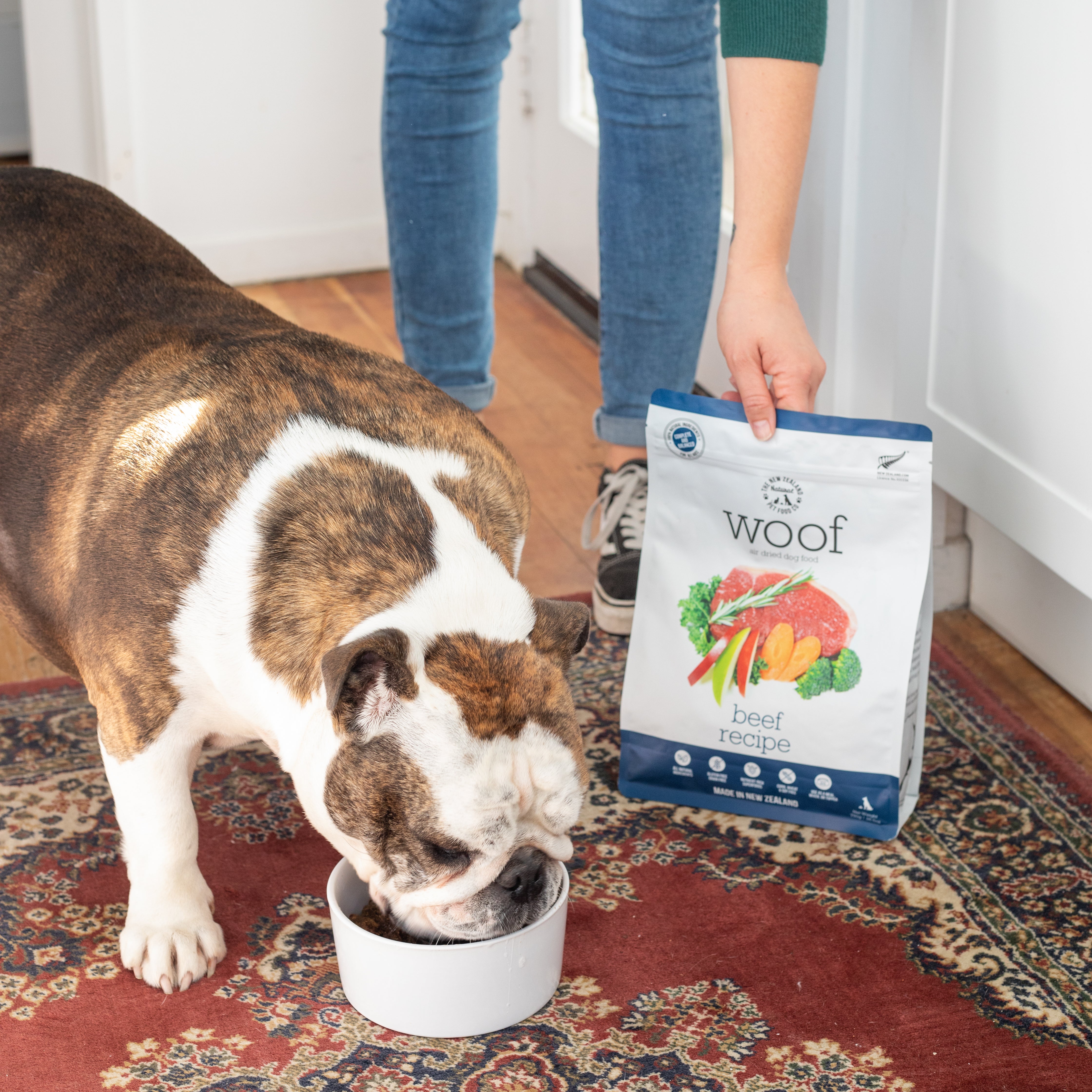 Bulldog enjoying a bowl of Woof Beef Air-Dried Dog Food.