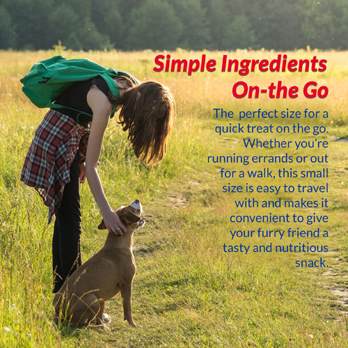Inaba Churu Meal Topper Chicken Recipe for Dogs