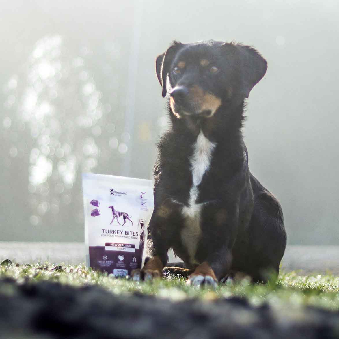 Freeze Dried NZ Turkey Topper for Dogs - Lean Protein & Gut Health