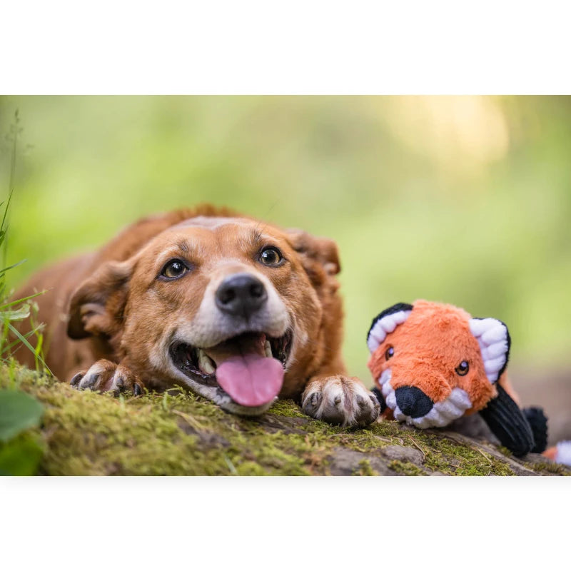 P.L.A.Y. Forest Friends Forest the Fox | Durable Eco-Friendly Dog Toy