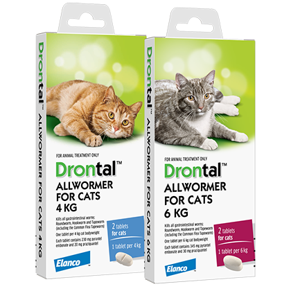 Drontal Cat Allwormer | Broad-Spectrum Worm Treatment | Paws Club