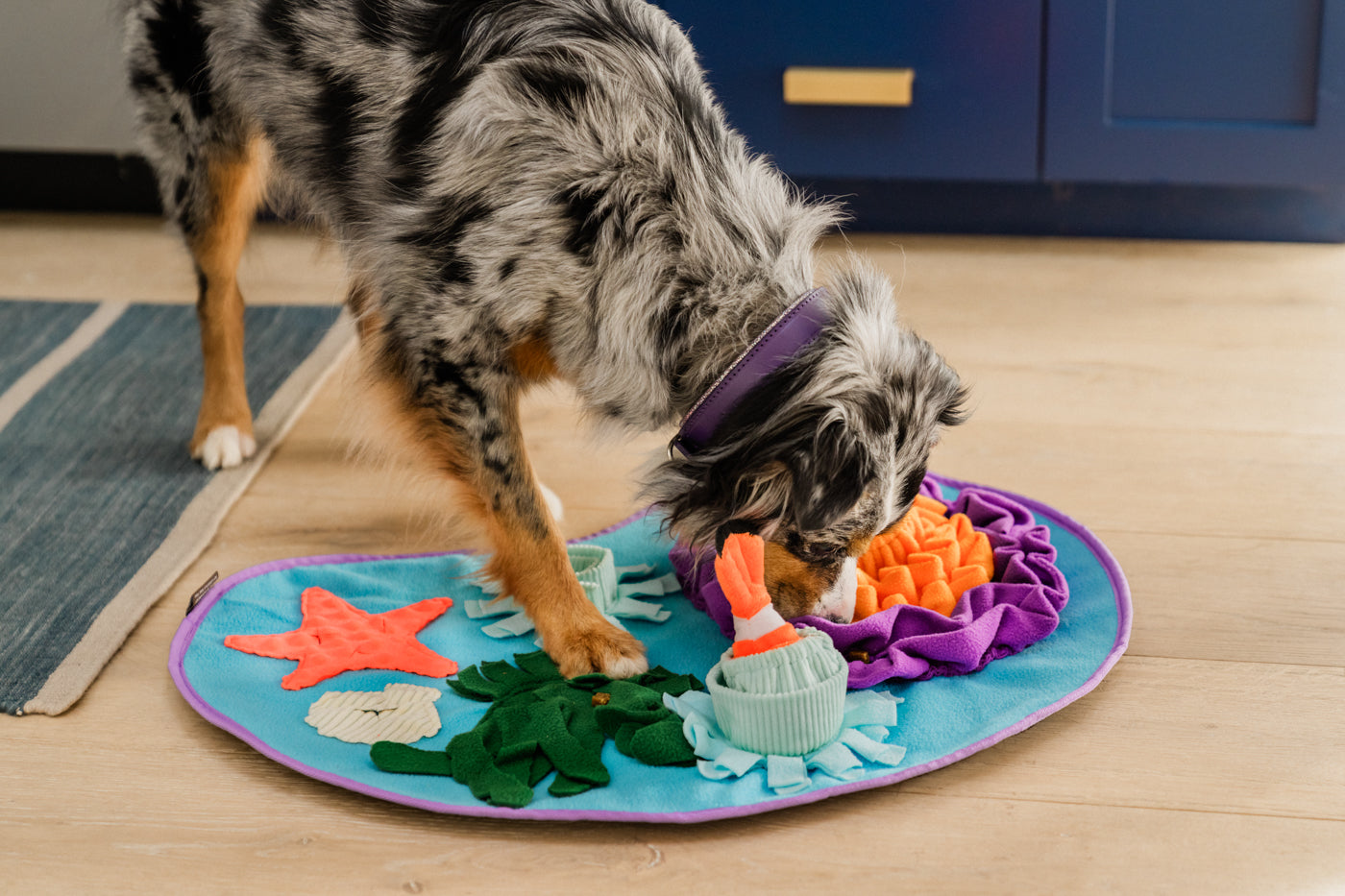 P.L.A.Y. Coral Cove Snuffle Mat - Interactive Dog Toy