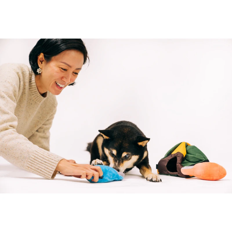 Dog and owner playing with P.L.A.Y. Trailblazing Tent toy and plush sleeping bags.