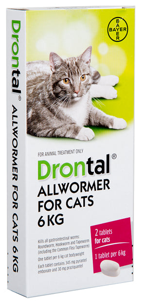 Drontal Allwormer：针对猫的全面蠕虫保护