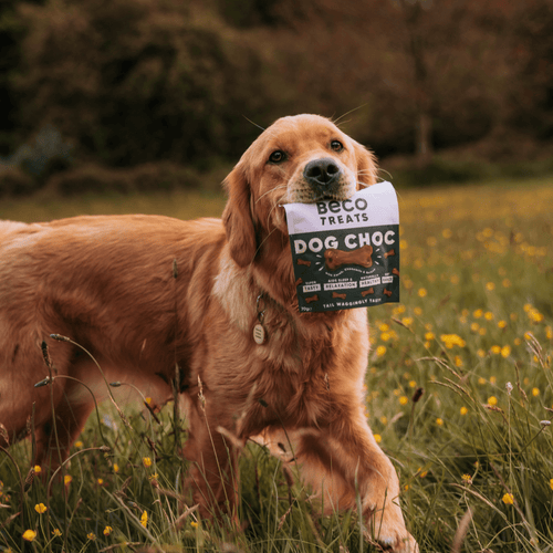 Beco Dog Choc Dog Treats - Carob, Chamomile & Quinoa